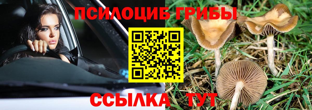Воткинск  Псилоцибиновые грибы мицелий  Вход с VPN 